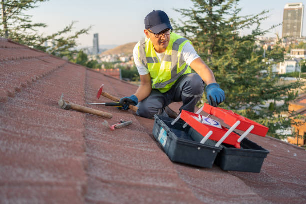 Best Historical Building Siding Restoration  in Lake Forest Park, WA